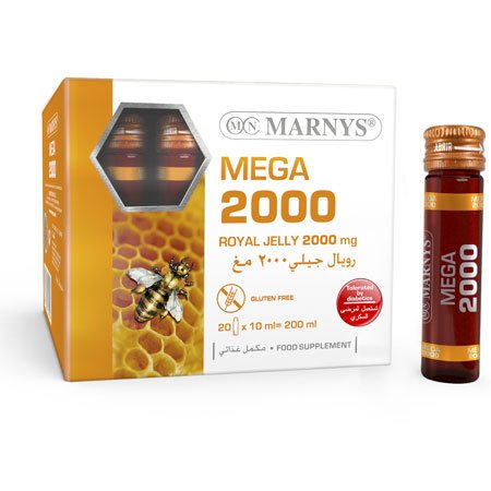 Mega 2000